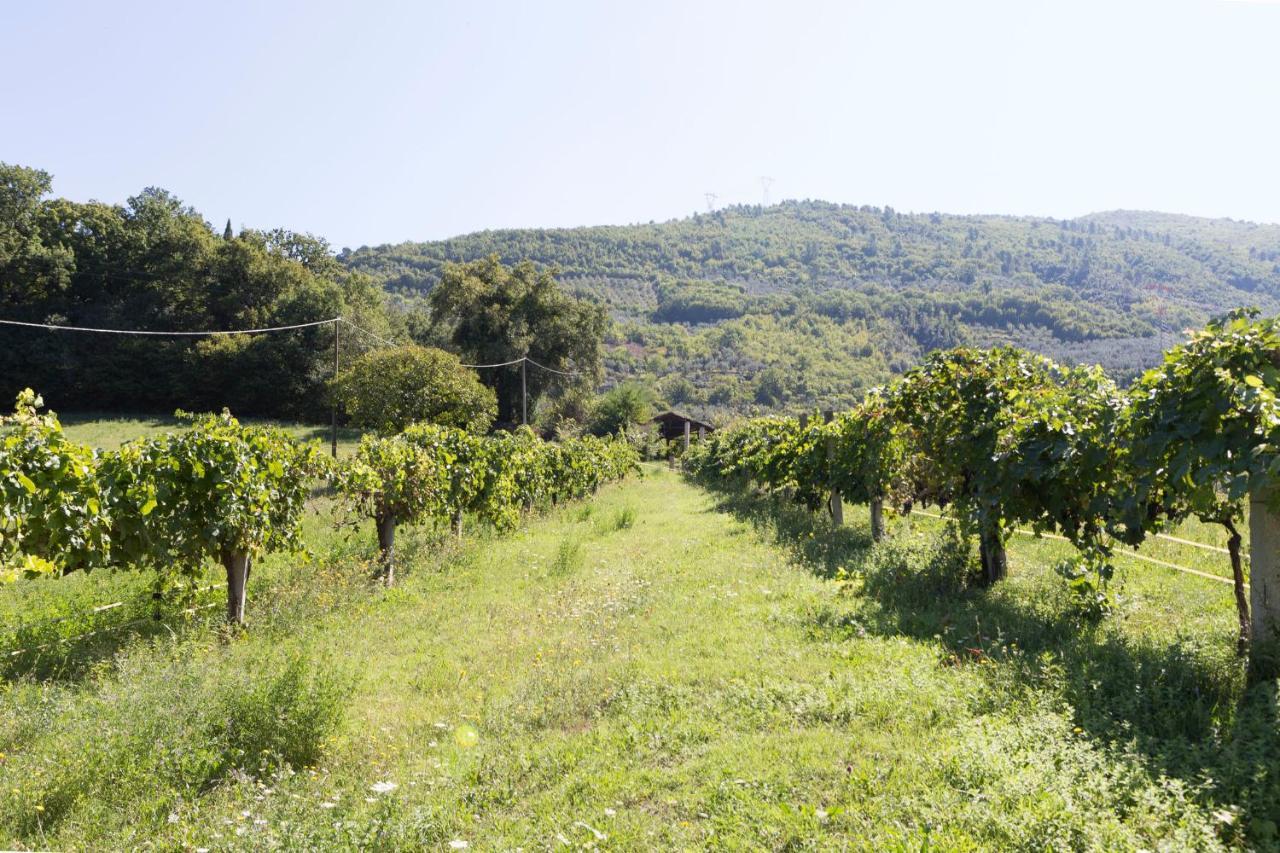 Agriturismo I Melograni Ferentillo Exterior foto