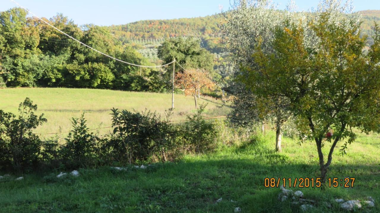 Agriturismo I Melograni Ferentillo Exterior foto